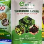 Profile picture of https://vinong.net/