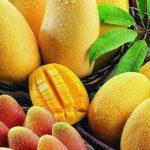 Profile picture of elham